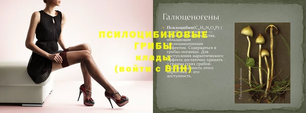 гашишное масло Богородицк