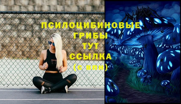 2c-b Белоозёрский