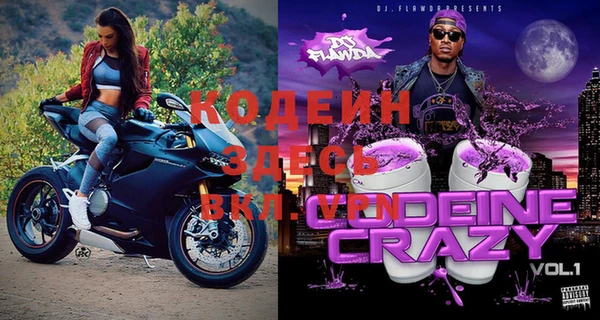 ПСИЛОЦИБИНОВЫЕ ГРИБЫ Богданович