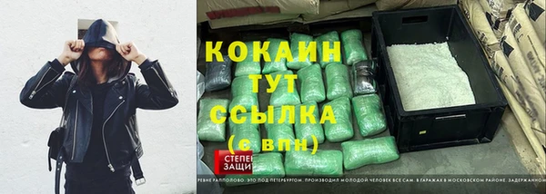 ПСИЛОЦИБИНОВЫЕ ГРИБЫ Богданович